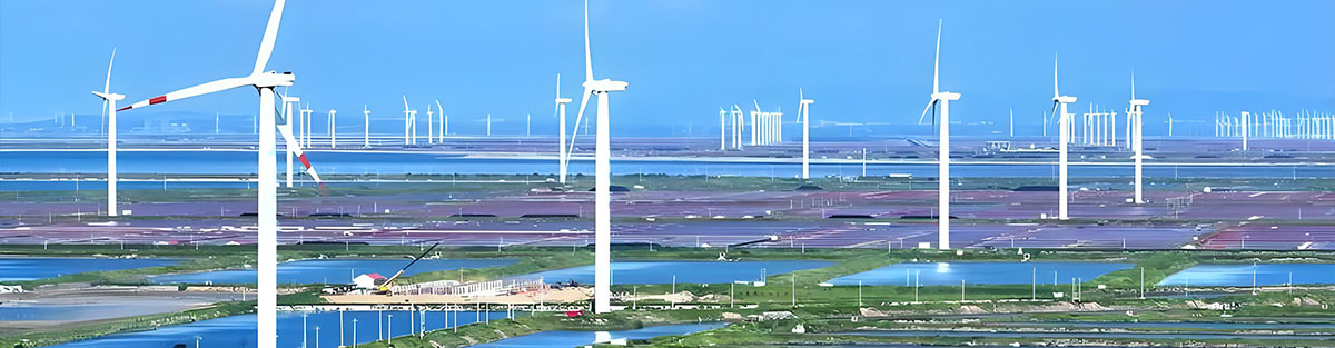 �õƶ�