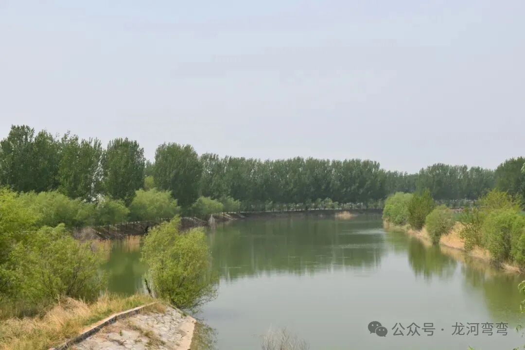 �����紫˵�ϱ���