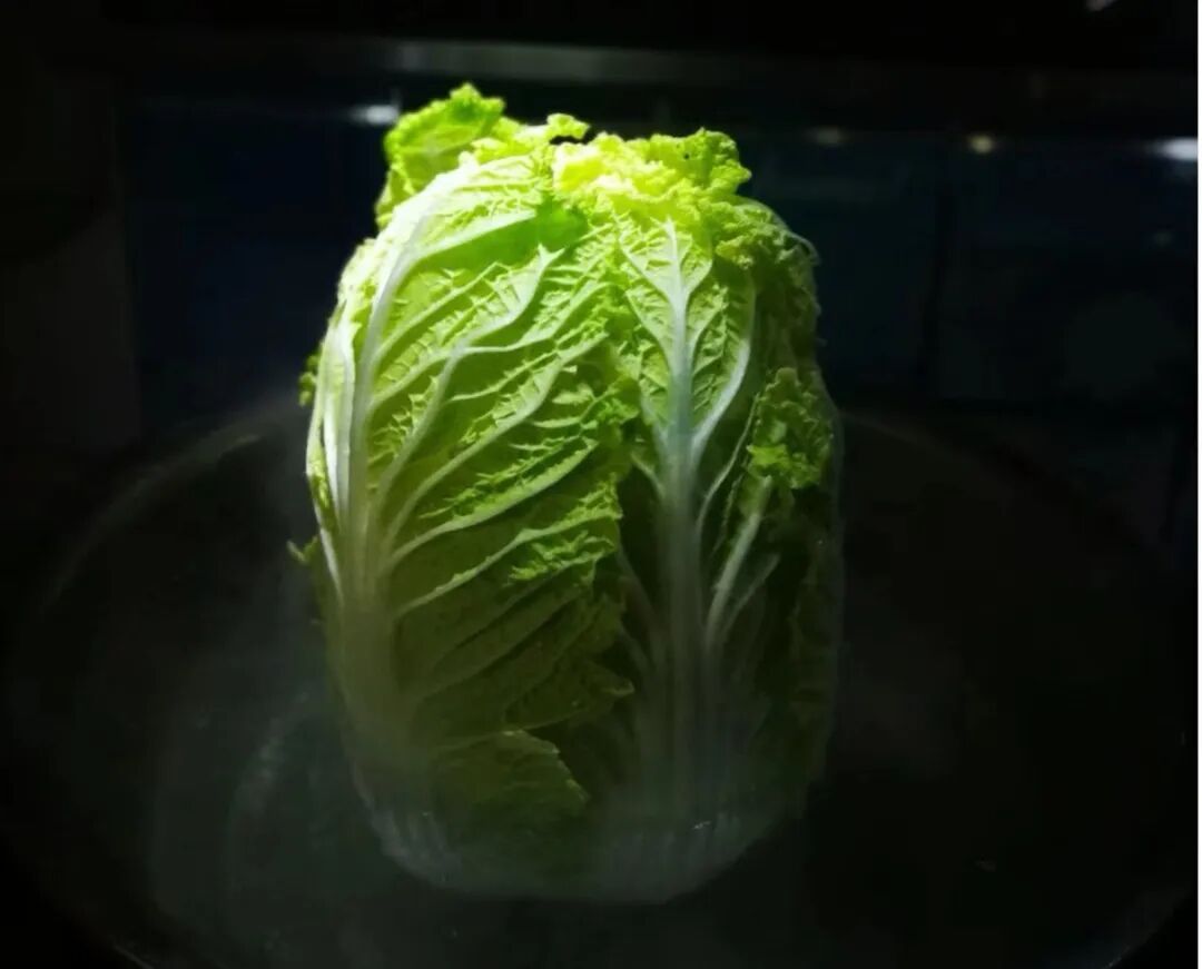 ��������ɫ���Ⱥϲ�