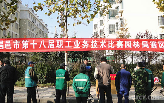 �����е�18��ְ��ҵ�������������Ļ