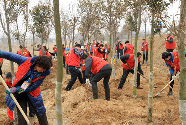 2014�����幤ֲ����