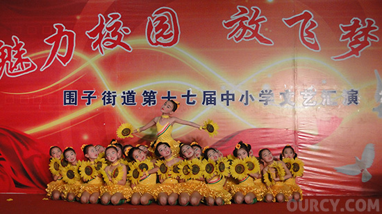 ����17����Сѧ�����ڱ���