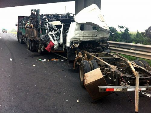 ���ٷ��������� ��������